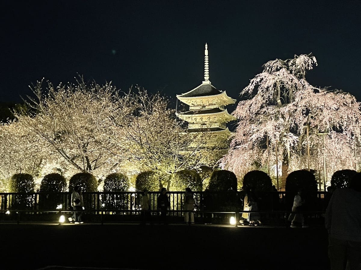 Toji Temple: Kyoto's Ancient Gateway of Esoteric Buddhism - Japan Guide ...